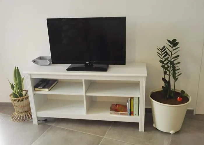 Beautiful Arrieta Haria